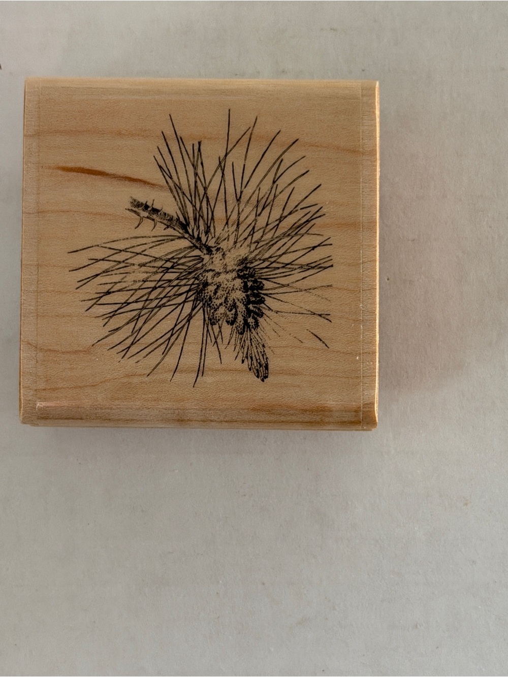 Pinecone Sprig Rubber Stamp - NOS
